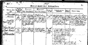 Cliquez pour agrandir